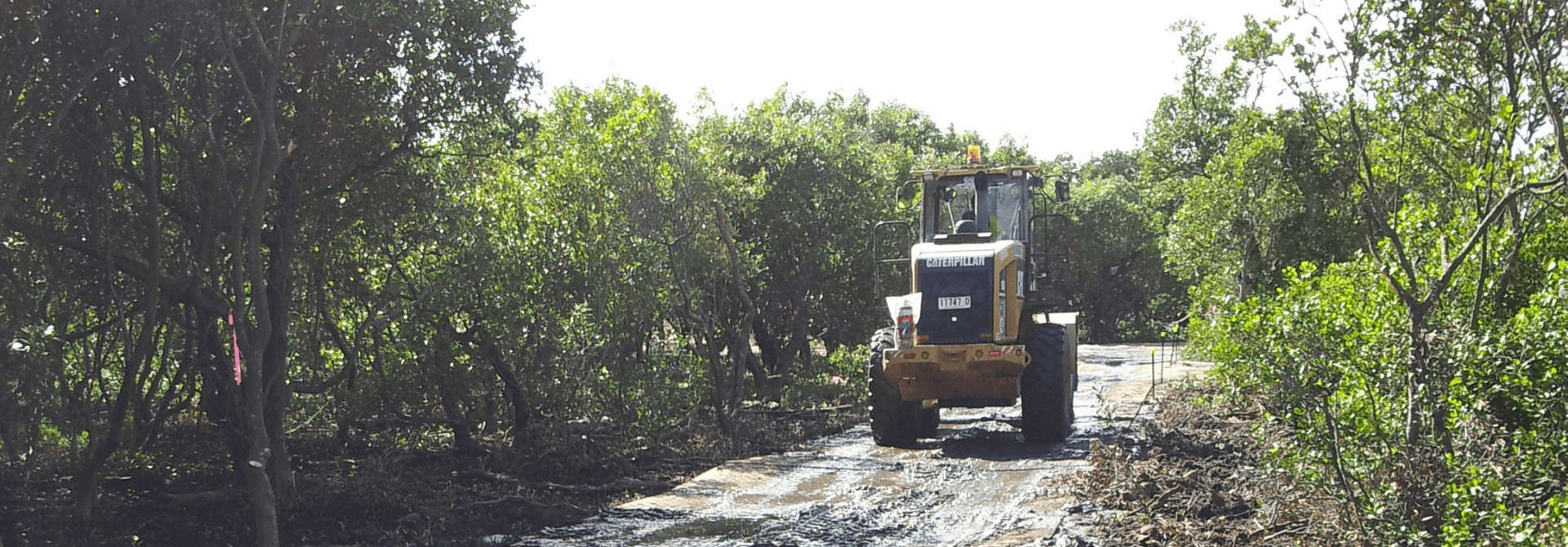 Sensitive Site Access — composite matting application