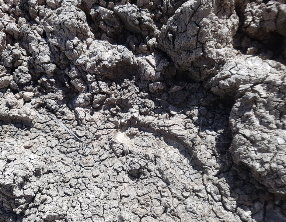 Site grounds susceptible to rain events