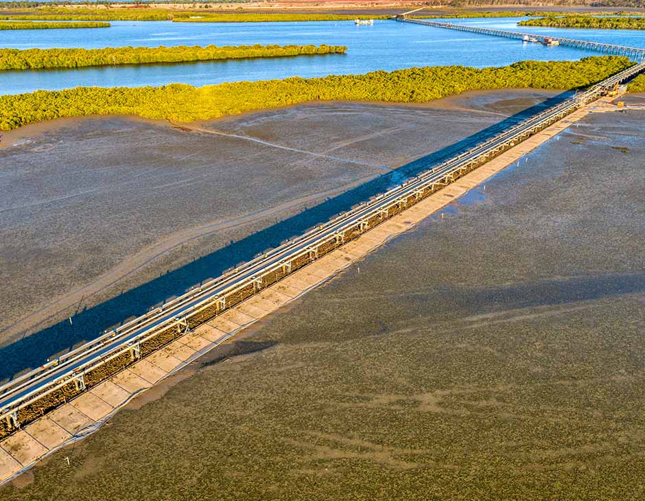 World Environment Day — JWA news