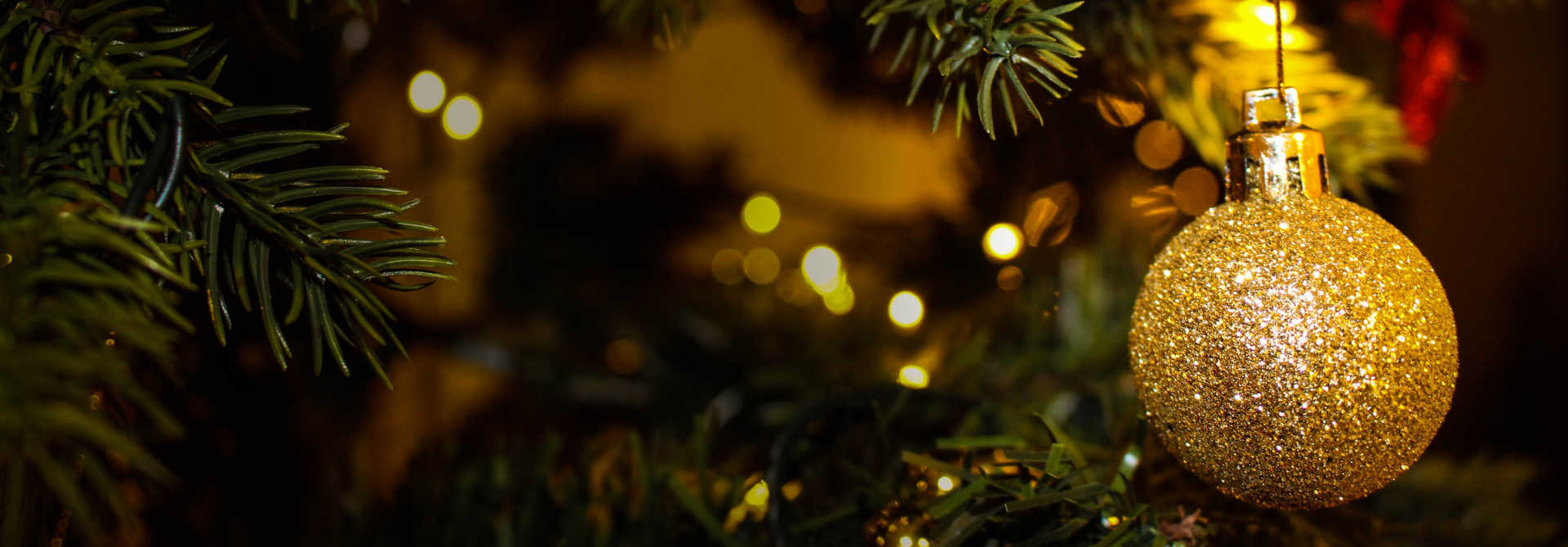 Happy Holidays! — JWA news