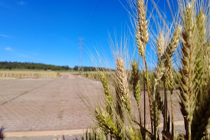 Composite Mats for Biodiversity — JWA news